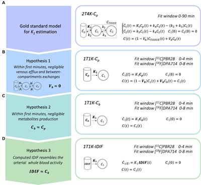 A blood-free modeling approach for the quantification of the blood-to-brain tracer exchange in TSPO PET imaging